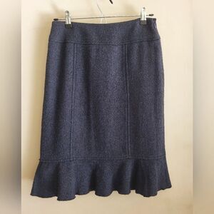 Ann Taylor Petites Virgin Wool Skirt (Size 2P)